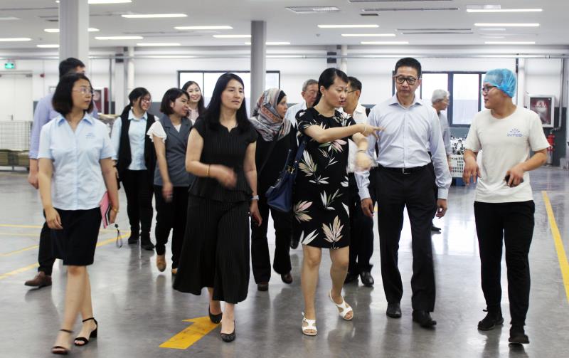 巅峰国际官网-追求健康,你我一路成长