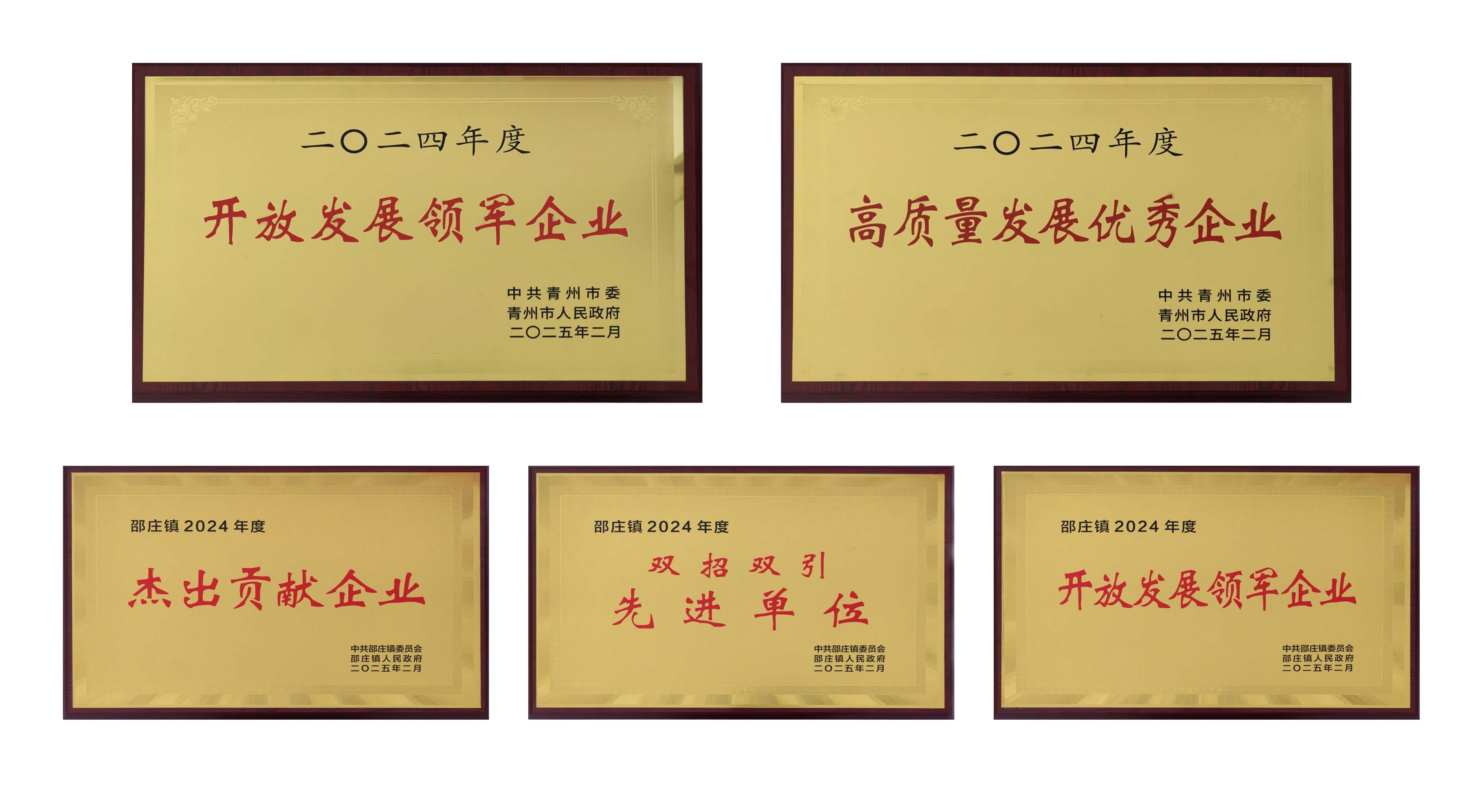 山东巅峰国际官网荣获多项殊荣
